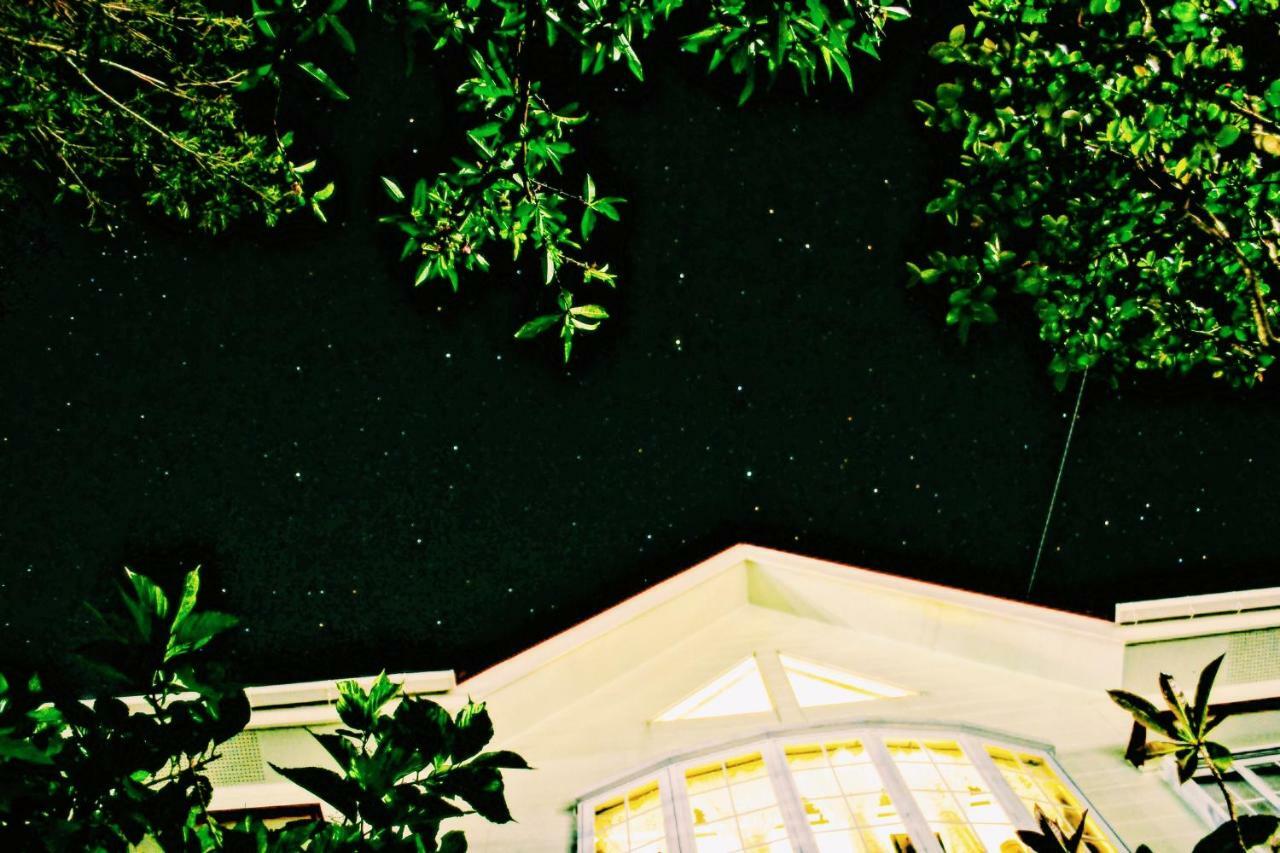 Amami-Green-Garden エクステリア 写真